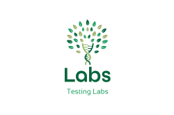 Labs