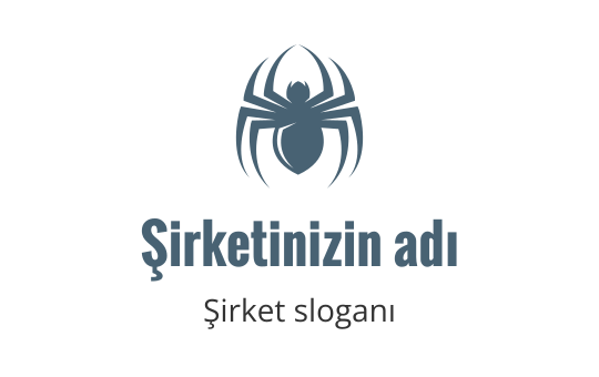 Spider logo