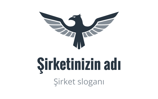 America logo